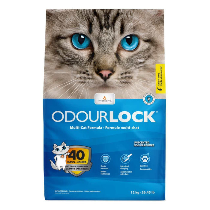 Intersand Odourlock Aclumping Cat Litter 12kg