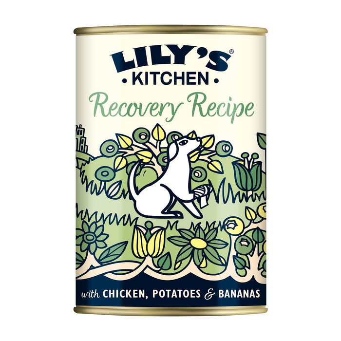 Lily's Kitchen Recovery Recipe for Dogs 400g