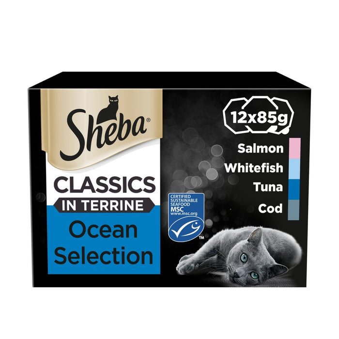 Sheba Classics Erwachsene 1+ Wet Cat Food Food Tabletts gemischt Ozean in Terrine 12 x 85 g
